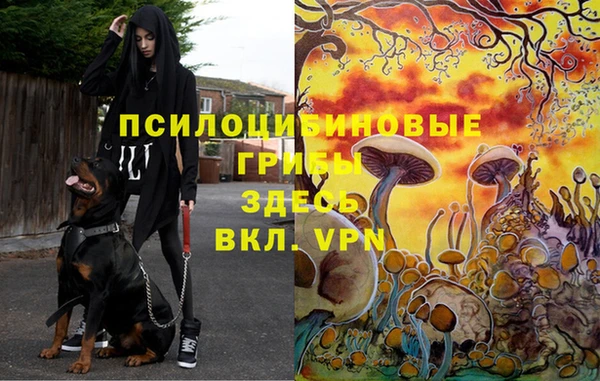 ALPHA-PVP Алексин