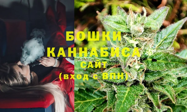 дмт Рославль